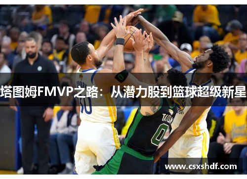 塔图姆FMVP之路：从潜力股到篮球超级新星